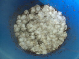 DSC01074.JPG
