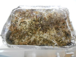 DSCN0970.JPG