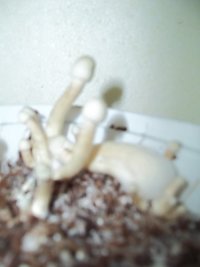 009.JPG