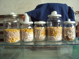 DSC01080.JPG