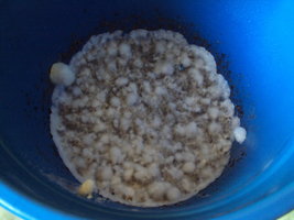 DSC01084.JPG