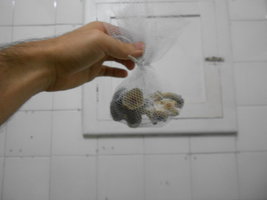 DSCN1006.JPG
