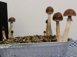 2014_06_04_20_13_26_184.jpg