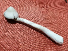 A+ Albino 007 06-06.JPG