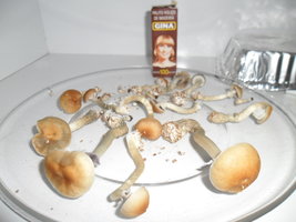 SAM_1424.JPG