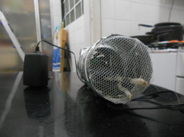 DSCN1035.JPG