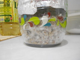 DSCN0994.JPG