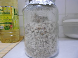 DSCN0995.JPG
