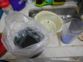 DSCN1018.JPG