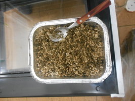 DSCN1024.JPG