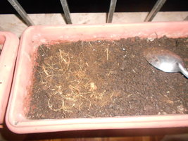 DSCN1028.JPG