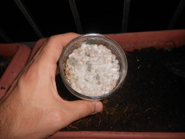 DSCN1029.JPG