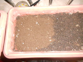 DSCN1030.JPG