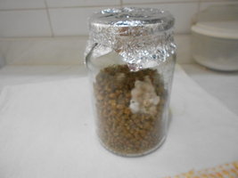 DSCN1043.JPG