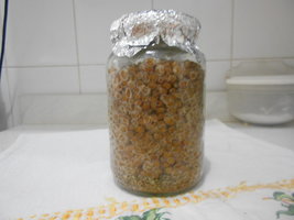 DSCN1046.JPG