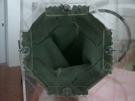 GEDC1231.JPG