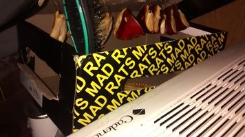 IMG_20140617_165442941.jpg