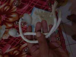 20140621_004145.jpg