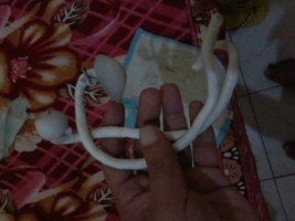 20140621_004152.jpg