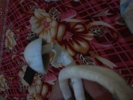 20140621_004255.jpg
