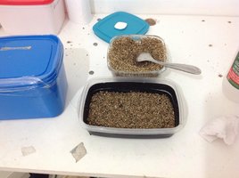vermiculita esterilizada.jpg