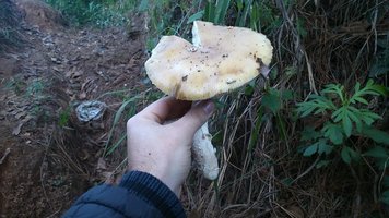 DSC_0165.JPG