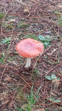 IMG-20140628-WA0009.jpg