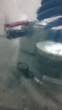 WP_20140622_005.jpg