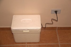 IMG_1667.jpg