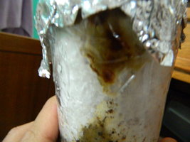 DSCN2348.JPG