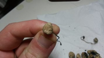 20140706_221815.jpg