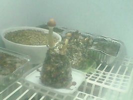6° dia -18-07-2014.jpg