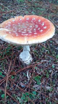 IMG_20140725_101652763.jpg