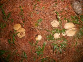 094_800x600.jpg