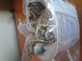 20140803_091421.jpg