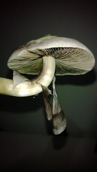 WP_20140808_017.jpg
