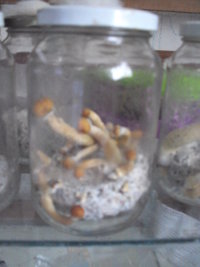 DSC01147.JPG