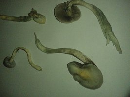 20140817_210844.jpg