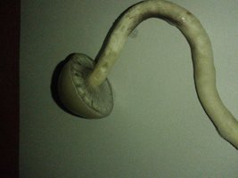20140817_210852.jpg