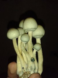 20140820_193113.jpg