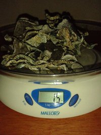 20140820_193706.jpg