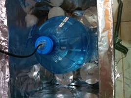 Fotos da estufa finalizada 4.JPG