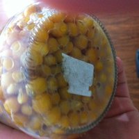foto 5.JPG