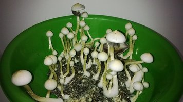 WP_20140903_014.jpg