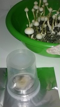 WP_20140903_049.jpg