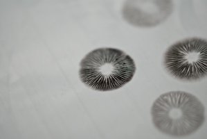 24-675145429-DSC04674_1600x1200.jpg