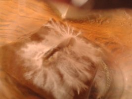 20140909_155530.jpg