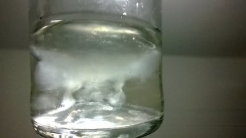WP_20140910_035.jpg