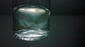 WP_20140910_048.jpg