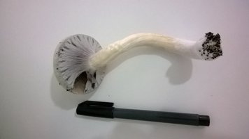 WP_20140911_018.jpg